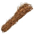 Floristik24 Browny Skin Fibres naturelles exotiques pour travaux manuels 500g