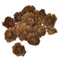 Floristik24 Cônes de cèdre coupés en cèdre rose rose 4-6cm naturel 50pcs.