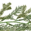 Floristik24 Guirlande de sapin réaliste longueur 180 cm - parfaite pour une décoration intérieure festive, vert frais, idéale pour Noël et les vacances