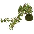 Floristik24 Fil de perles artificielles plante verte en boule de mousse 38cm