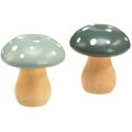 Floristik24 Champignons en bois champignons décoratifs amanites mouches en bois vert menthe 5cm 8pcs
