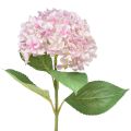 Floristik24 Hortensia artificielle rose clair fleur artificielle fleur de jardin 65cm