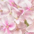 Floristik24 Hortensia artificielle rose clair fleur artificielle fleur de jardin 65cm