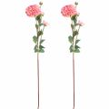 Floristik24 Dahlias artificiels rose pêche Ø10cm L80cm 2pcs