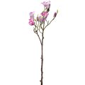 Floristik24 Branche de magnolia fleur artificielle, rose magnolia 92cm