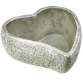 Floristik24 Bol à plantes coeur décoration tombe coeur végétal gris blanc 18×19cm H7,5cm