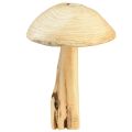 Floristik24 Sculpture de champignon réaliste en bois d&#39;orme - Design rustique, 37 cm - Décoration de jardin et d&#39;intérieur élégante