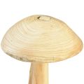Floristik24 Sculpture de champignon réaliste en bois d&#39;orme - Design rustique, 37 cm - Décoration de jardin et d&#39;intérieur élégante