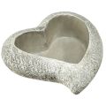 Floristik24 Bol à plantes coeur en pierre moulée coeur plante gris blanc 16×16×5cm