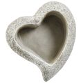 Floristik24 Bol à plantes coeur en pierre moulée coeur plante gris blanc 16×16×5cm